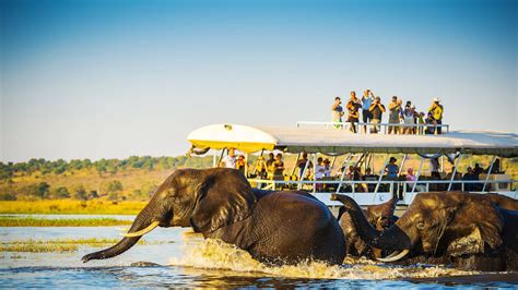 botswana guided tours from south africa